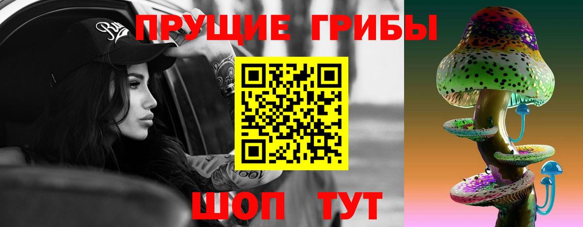 Отрадное  Псилоцибиновые грибы Psilocybe  Вход с VPN  Псилоцибиновые грибы MAGIC MUSHROOMS 